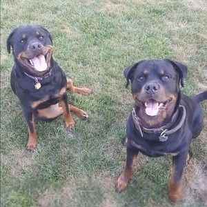 Meet your Posher, Tom